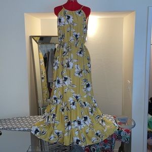 Banana Republic Maxi